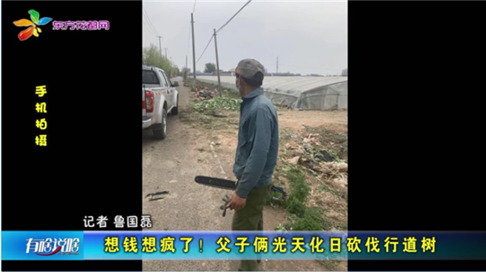 发财梦破碎，父子俩光天化日砍伐行道树卖钱，被警察扣留