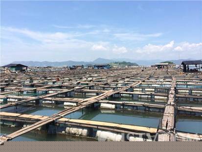 海上鱼排:海上人家的“一亩三分地”——“海上皇宫”案终极大揭秘（连载3）