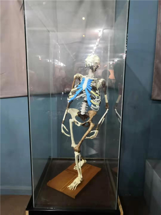 知明律师手持红旗游三国——东非埃肯坦十日行