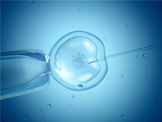 遗孀能继续享有冷冻胚胎移植权吗？