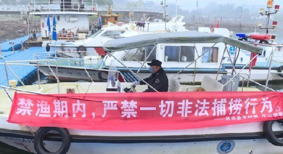 寥寥数月禁渔期，悄悄捕鱼反被捕