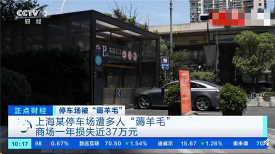 停车一天才几毛钱？上海白领“薅羊毛”薅出事了……