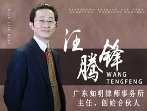 海上皇宫行政案 – 深圳行政诉讼律师经典案例